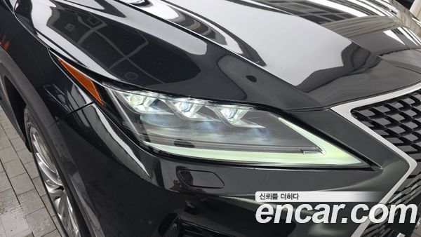 Lexus RX 2021, фото 8