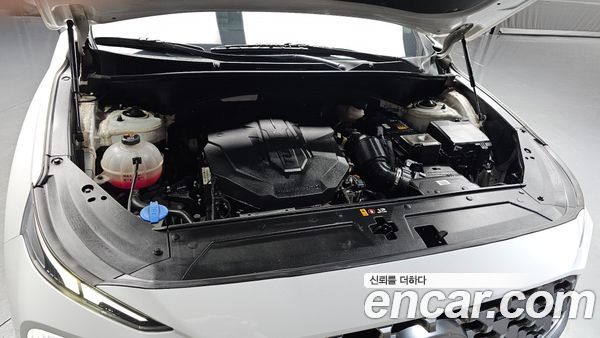 Hyundai Santa Fe 2021, фото 6