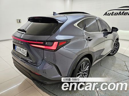 Lexus NX 2024, фото 5