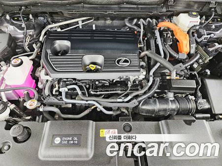 Lexus NX 2024, фото 6