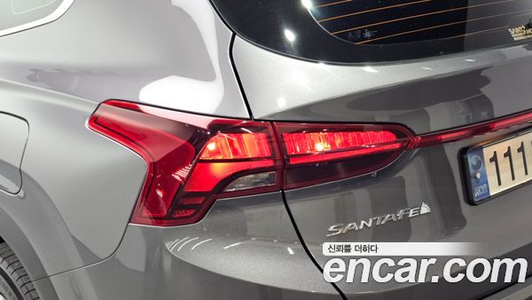Hyundai Santa Fe 2021, фото 9