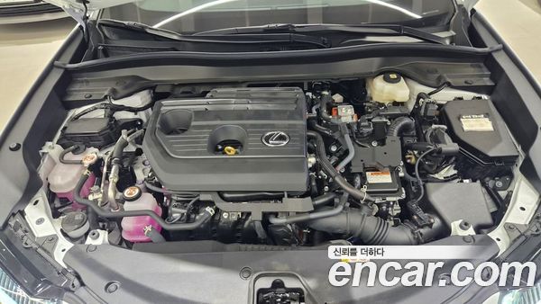 Lexus UX 2026, фото 6