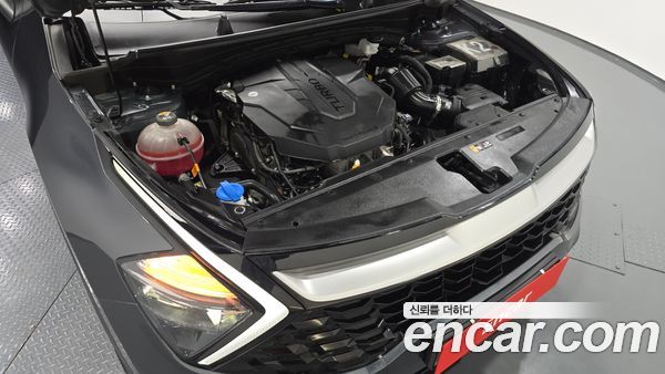 Kia Sportage 2024, фото 6