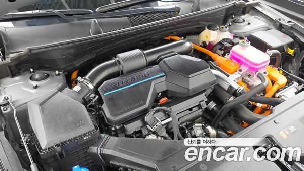 Kia Sportage 2024, фото 6