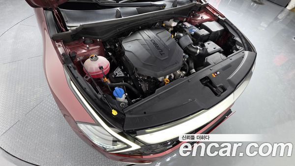 Kia Sportage 2022, фото 6