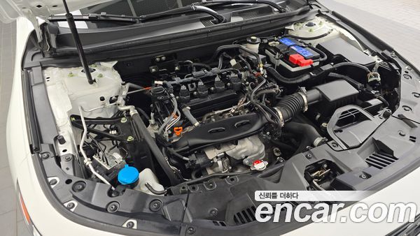 Honda Accord 2024, фото 6