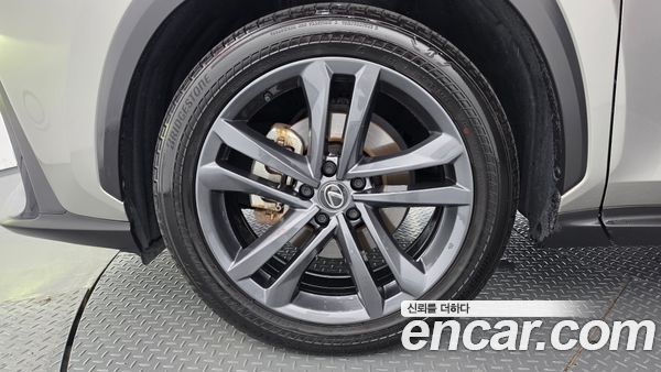 Lexus NX 2024, фото 4