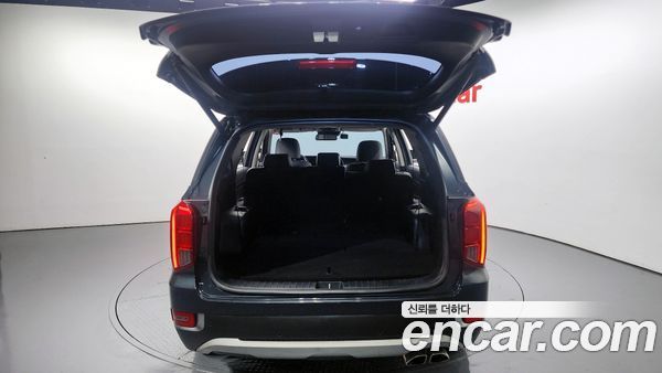 Hyundai Palisade 2020, фото 20