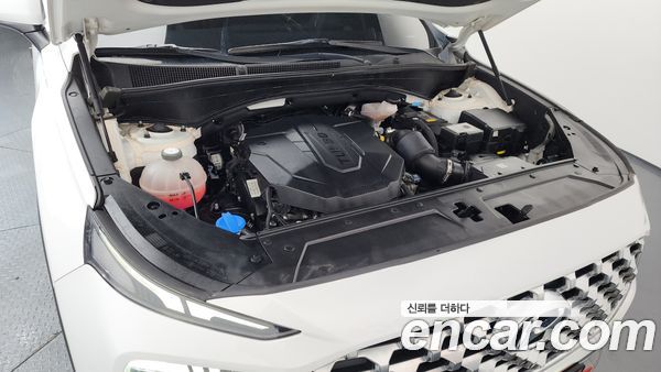Hyundai Santa Fe 2021, фото 6
