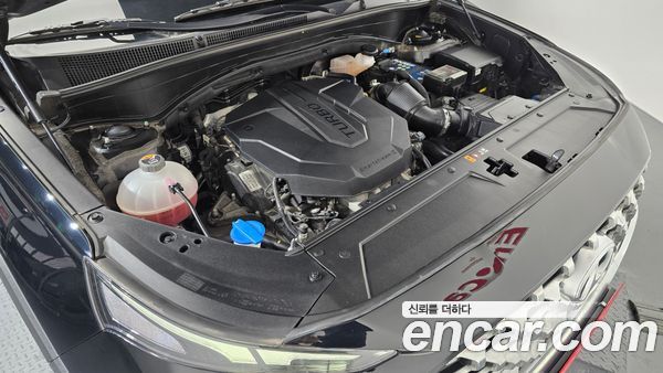 Hyundai Santa Fe 2021, фото 6