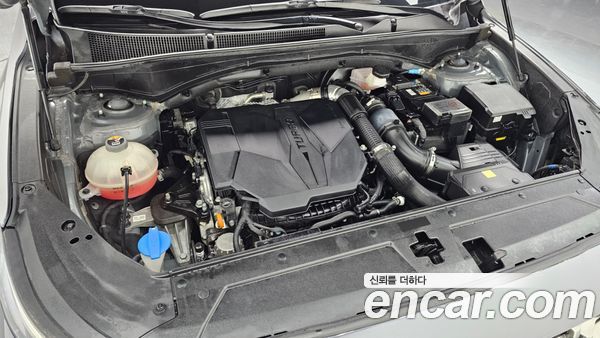 Hyundai Santa Fe 2023, фото 6