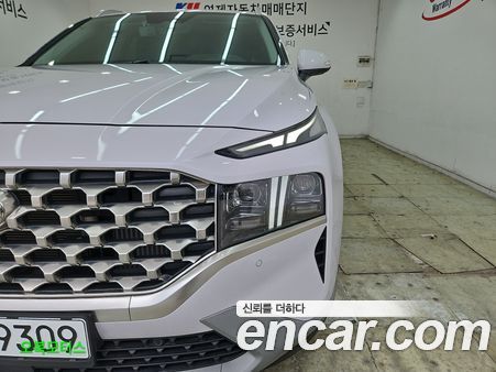 Hyundai Santa Fe 2022, фото 20