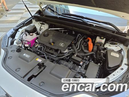 Lexus NX 2025, фото 6