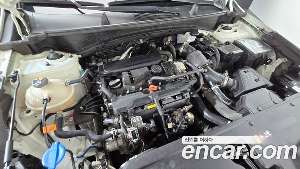 Kia Sportage 2024, фото 6