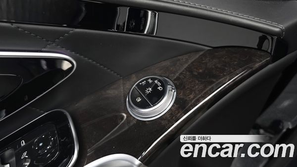 Mercedes-Benz S-Class 2021, фото 26