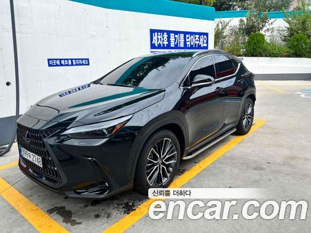 Lexus NX 2025
