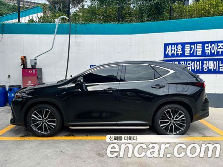 Lexus NX 2025, фото 11