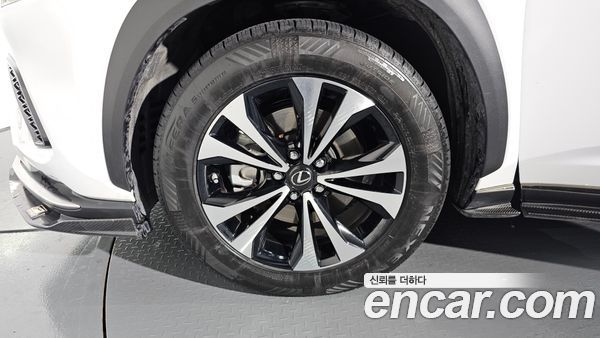 Lexus NX 2020, фото 5