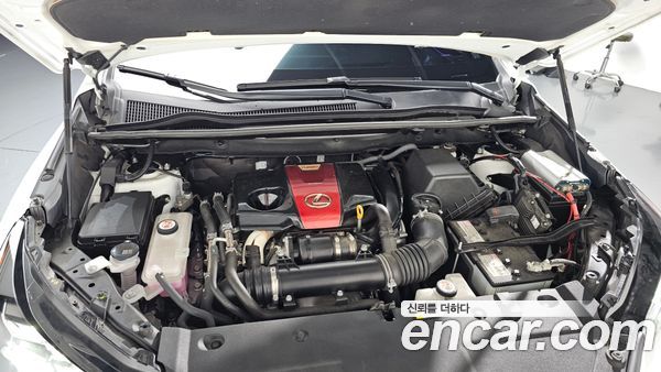 Lexus NX 2020, фото 6