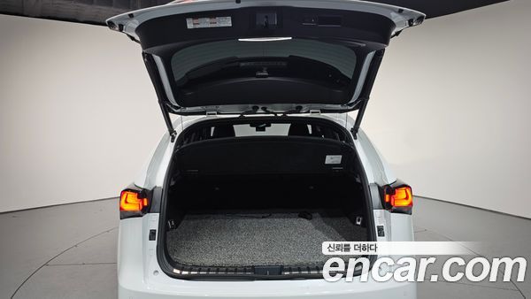 Lexus NX 2020, фото 20