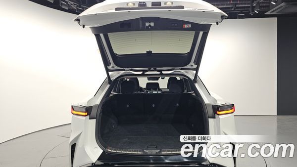 Lexus RZ 2023, фото 20