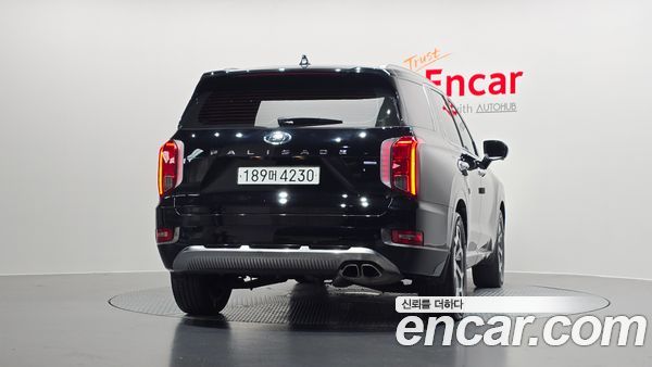 Hyundai Palisade 2022, фото 4