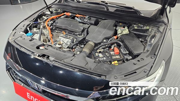 Honda Accord 2021, фото 5