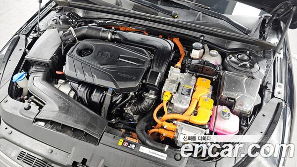 Kia K5 2020, фото 6