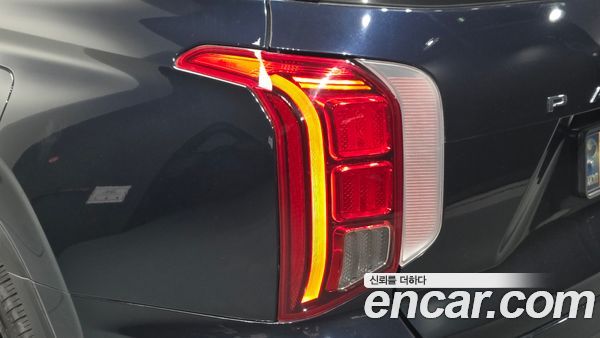 Hyundai Palisade 2021, фото 8