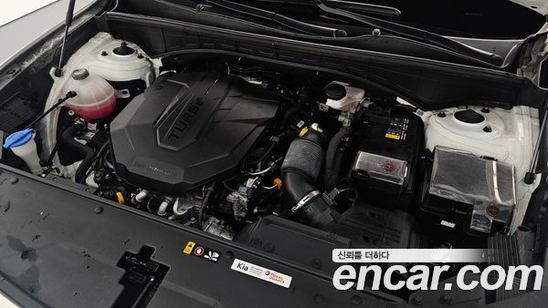 Kia Sorento 2023, фото 6