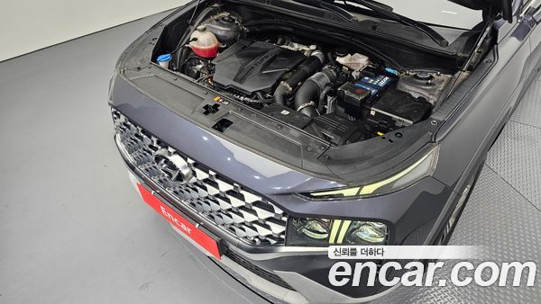 Hyundai Santa Fe 2021, фото 6