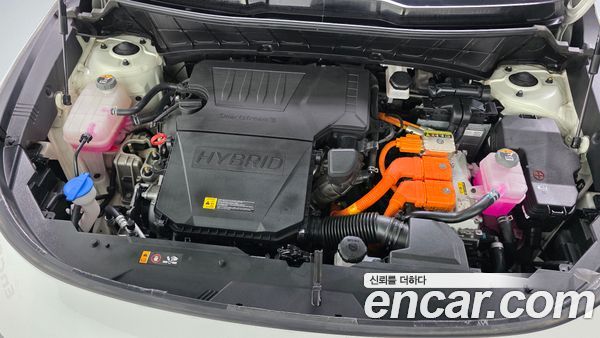 Kia Niro 2024, фото 6