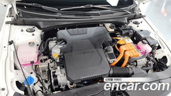 Hyundai Elantra 2024, фото 6