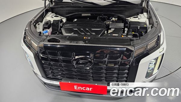 Hyundai Palisade 2024, фото 6