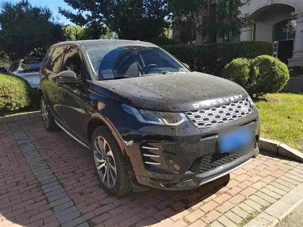 Land Rover Discovery Sport 2024, фото 3