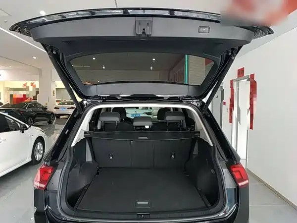 Volkswagen Tiguan L 2023, фото 18