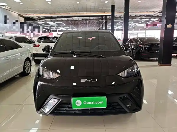 BYD Seagull 2024, фото 2