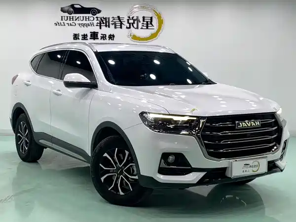 Haval H6 2021, фото 3
