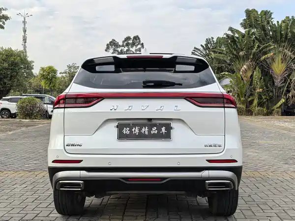 Haval H6 2021, фото 5