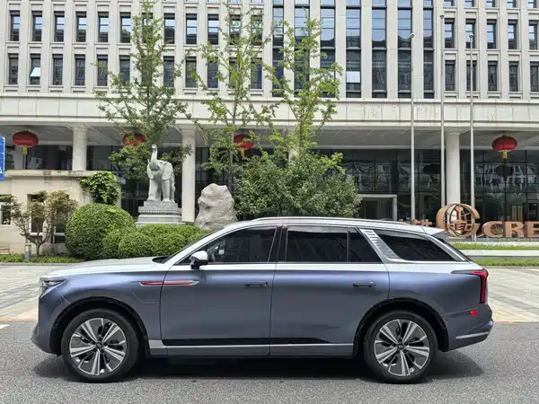 Hongqi E-HS9 2021, фото 7