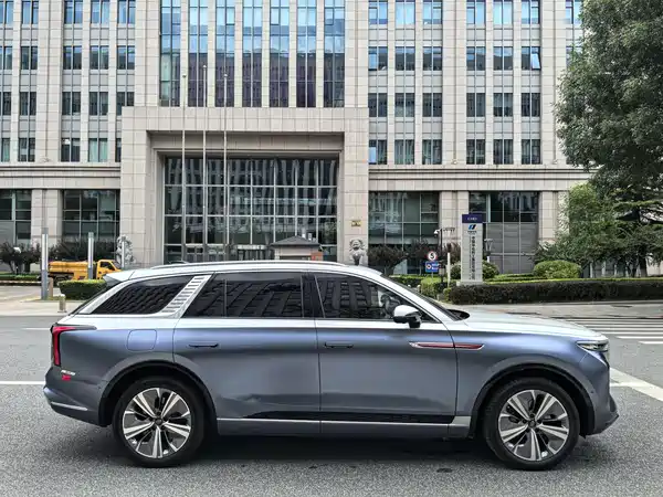 Hongqi E-HS9 2021, фото 8