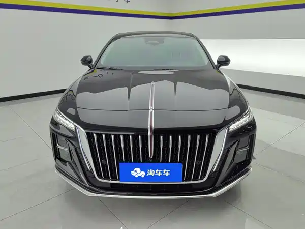 Hongqi H5 2024, фото 2