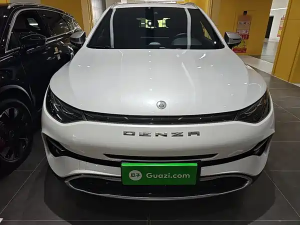 Denza X 2020, фото 2