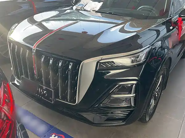 Hongqi HS5 2023, фото 5