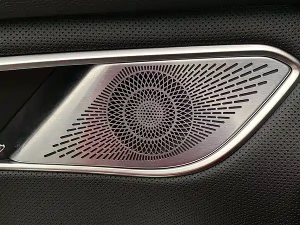 Hongqi HQ9 PHEV 2024, фото 22
