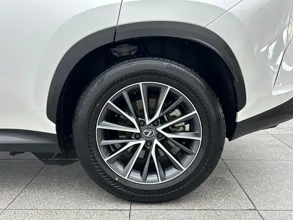 Lexus NX 2023, фото 16
