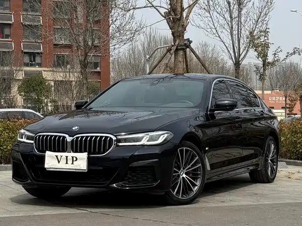 BMW 5 Series 2022, фото 30
