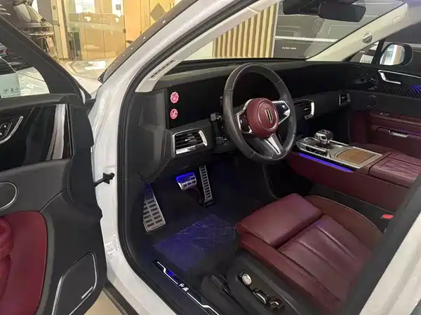 Hongqi E-HS9 2022, фото 4