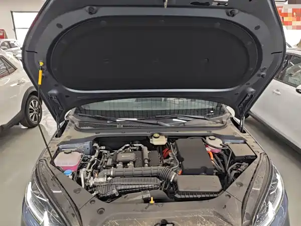 BYD Seal 06 DM-i 2024, фото 20