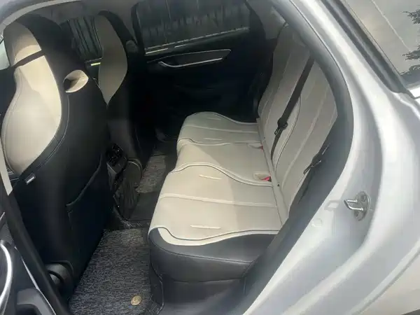BYD Destroyer 05 2024, фото 3